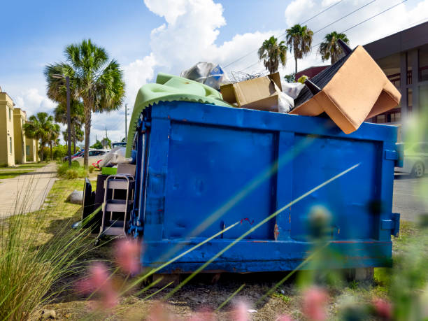 Best Hoarding Cleanup Services in Ridgewood, IL